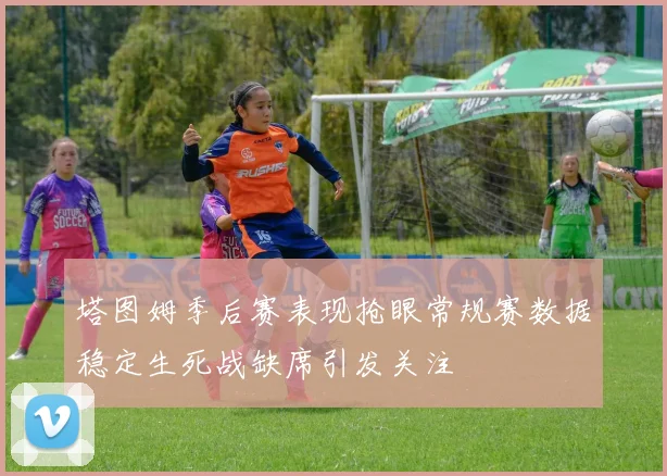 塔图姆季后赛表现抢眼常规赛数据稳定生死战缺席引发关注