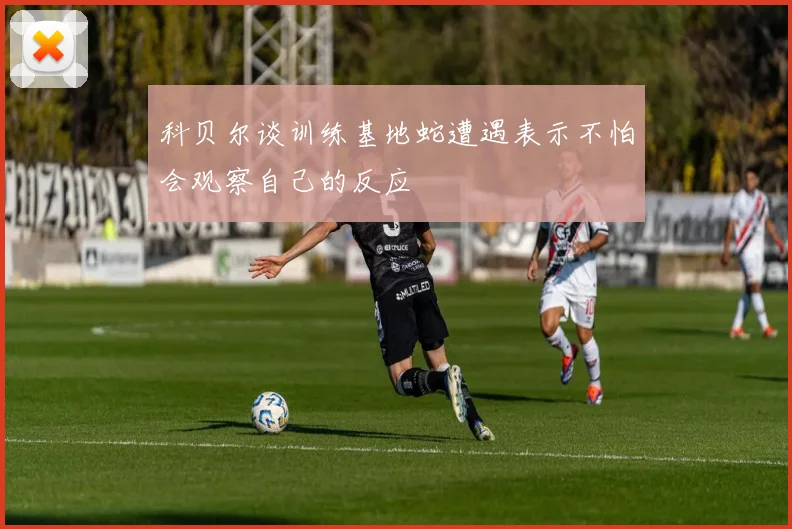 科贝尔谈训练基地蛇遭遇表示不怕会观察自己的反应